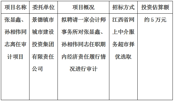 張顯鑫、孫相偉同志離任審計項目計劃公告