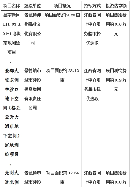 景德鎮(zhèn)市昌南新區(qū)LJ1-03-A01-1地塊、瓷都大道東側中渡口地下空間（格蘭云天大酒店地下空間）、光明大道北側利民路西側地下空間（青少年宮地下空間）、規(guī)劃二路北側地下空間地塊二（加速基地地下空間）、規(guī)劃二路北側地下空間地塊一（加速基地地下空間）、景德大道南側天寶橋西側地塊、景興大道東側如意路北側地下空間(社會公共服務