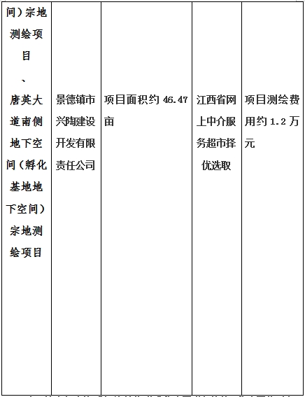 景德鎮(zhèn)市昌南新區(qū)LJ1-03-A01-1地塊、瓷都大道東側中渡口地下空間（格蘭云天大酒店地下空間）、光明大道北側利民路西側地下空間（青少年宮地下空間）、規(guī)劃二路北側地下空間地塊二（加速基地地下空間）、規(guī)劃二路北側地下空間地塊一（加速基地地下空間）、景德大道南側天寶橋西側地塊、景興大道東側如意路北側地下空間(社會公共服務